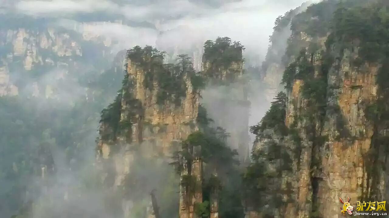 QQ图片20160711121417.jpg