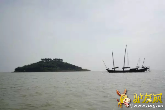 图片12.png